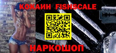 индика Можга