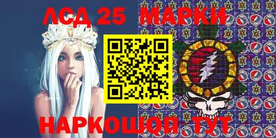 индика Можга
