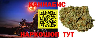 индика Можга
