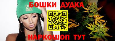 индика Можга