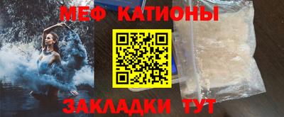 индика Можга