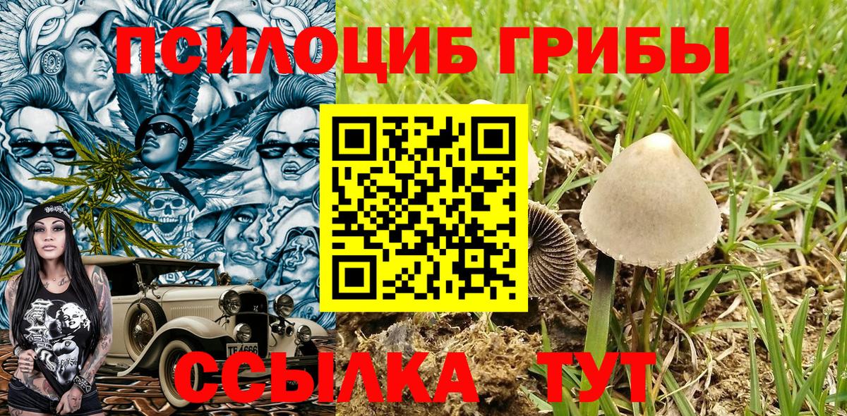 Псилоцибиновые грибы MAGIC MUSHROOMS  Псилоцибиновые грибы Magic Shrooms  Ханты-Мансийск  Вход с VPN 